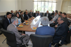 photo (4 of 136).jpg